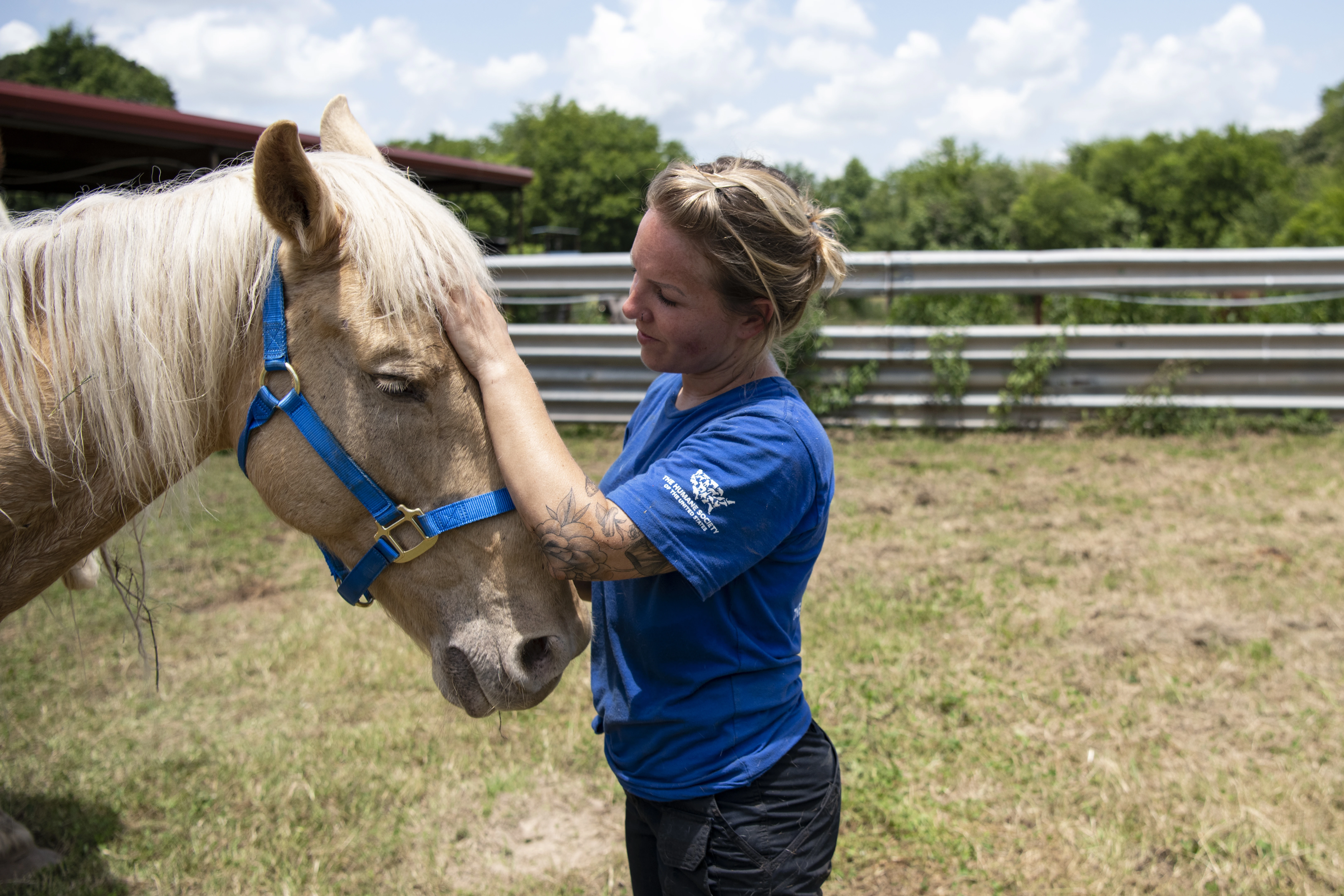 Caring for a horse at Black Beauty Ranch in Murchison, TX. Photo courtesy of the HSUS.